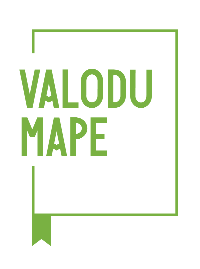 VM_logo